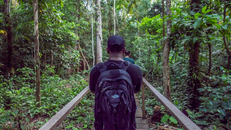 A traveller walking through a rainforest in Peru.