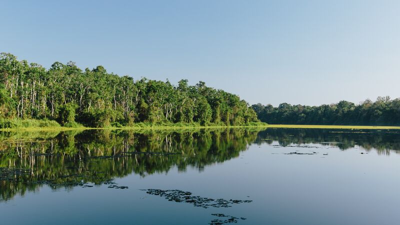 Forest and river in Malaysian Borneo