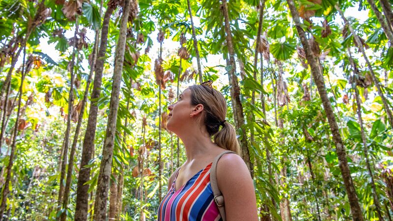 A woman looking up to the sky in the Daintree Rainforest in Australia 