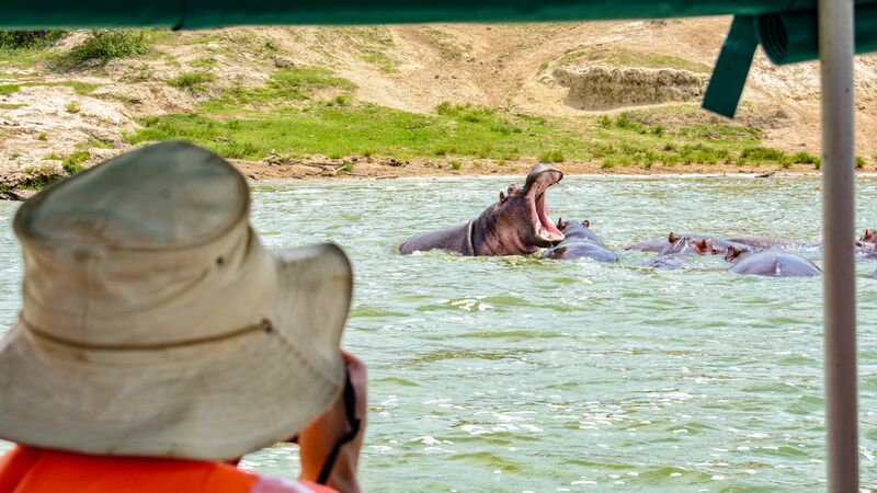 Spotting hippos on a river cruise in Queen Elizabeth National Park in Uganda