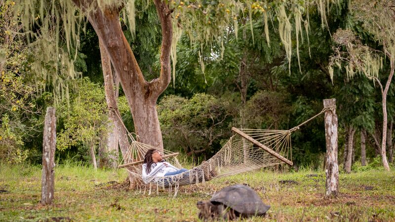 Traveller asleep in a hammock next to a Giant tortoise.