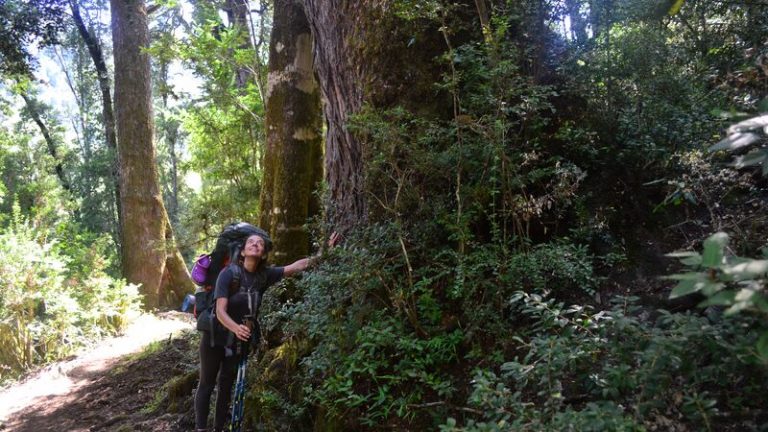 Climate Action and Science-based Targets | Intrepid Travel Blog