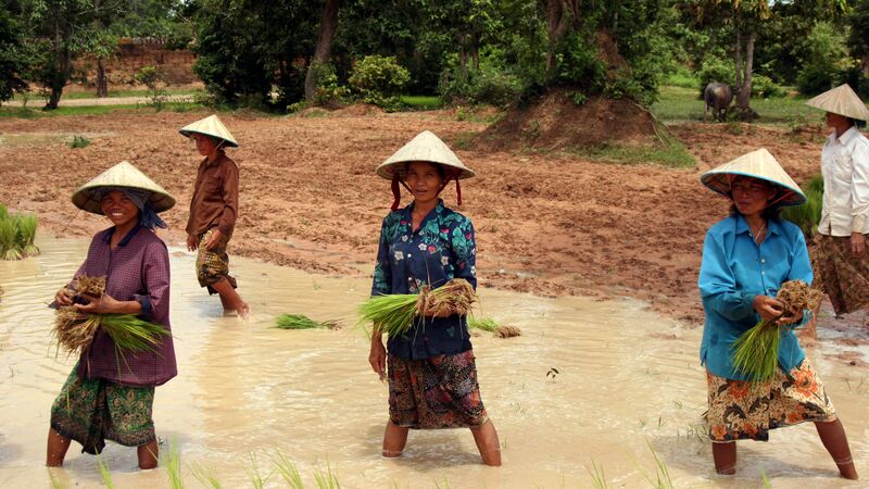 Locals working in Cambodia