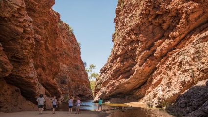 uluru day tours from alice springs