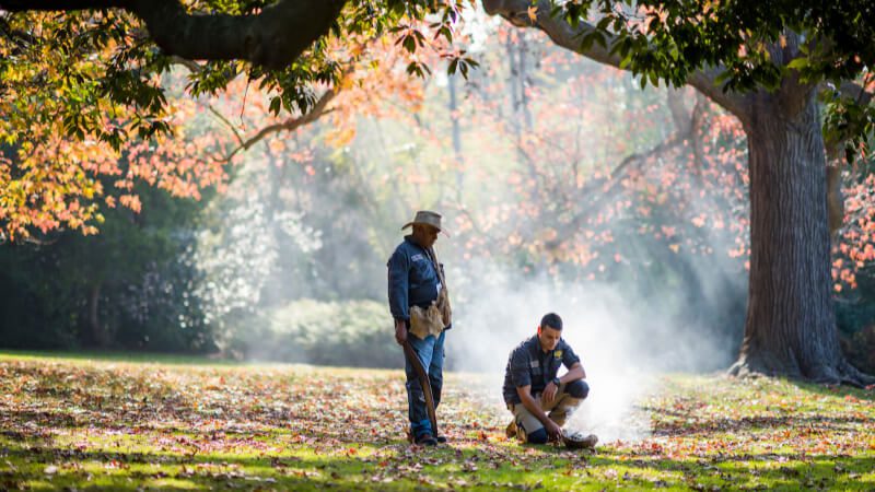 Melbourne Gardens Aboriginal Heritage Walk