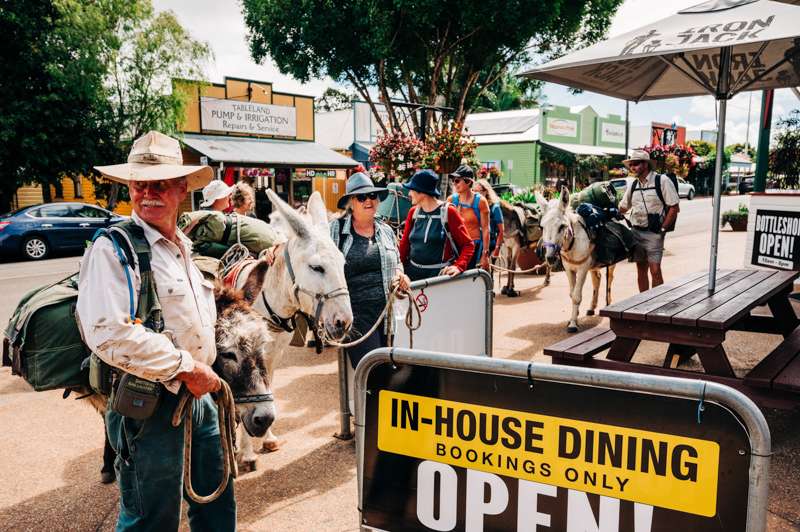 Donkeys carrying bags in town