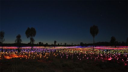 uluru day tours from alice springs