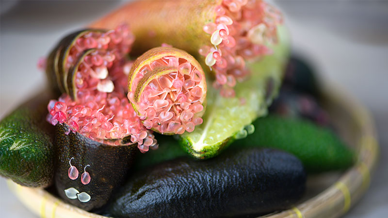 Finger lime