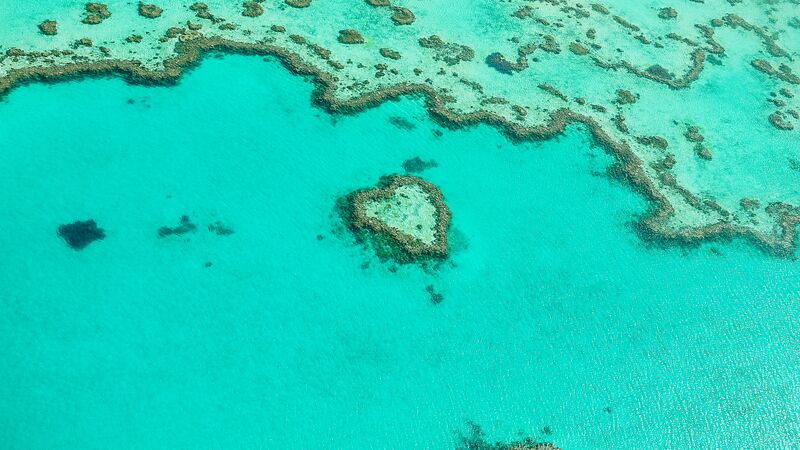 Aerial shot of Heart Island on the Great Barrier Reef in Cairns, Queensland.