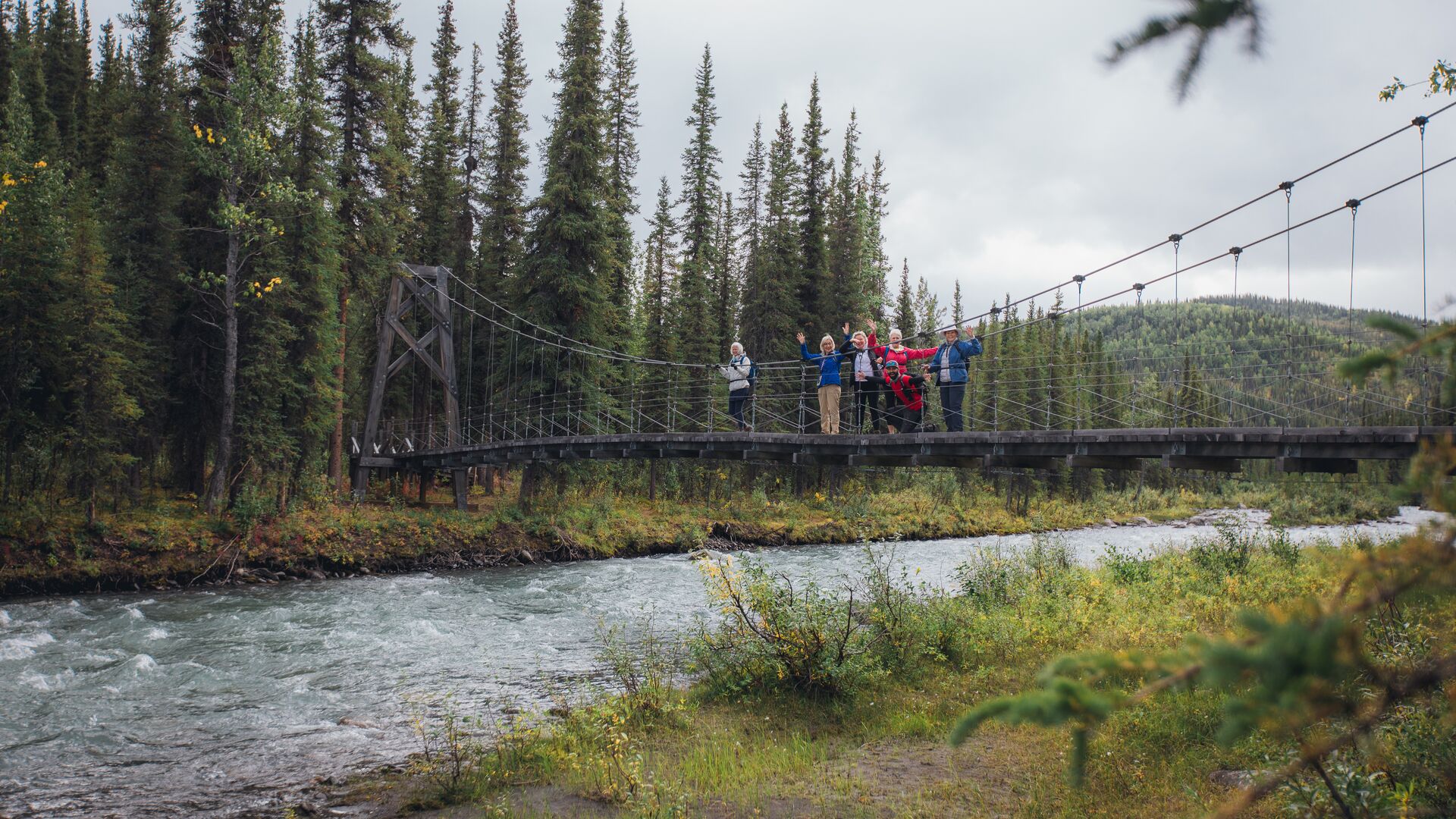 A group of travellers waving from a suspension bridge over a river while on a hike surrounded by tall, green trees in Denali National Park, Alaska.