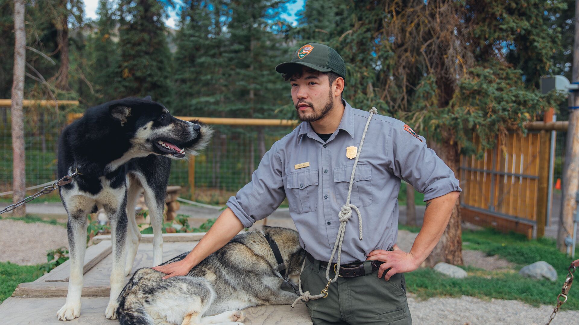 A park ranger with husky sled dogs during a ranger-led demonstration in Denali National Park, Alaska.