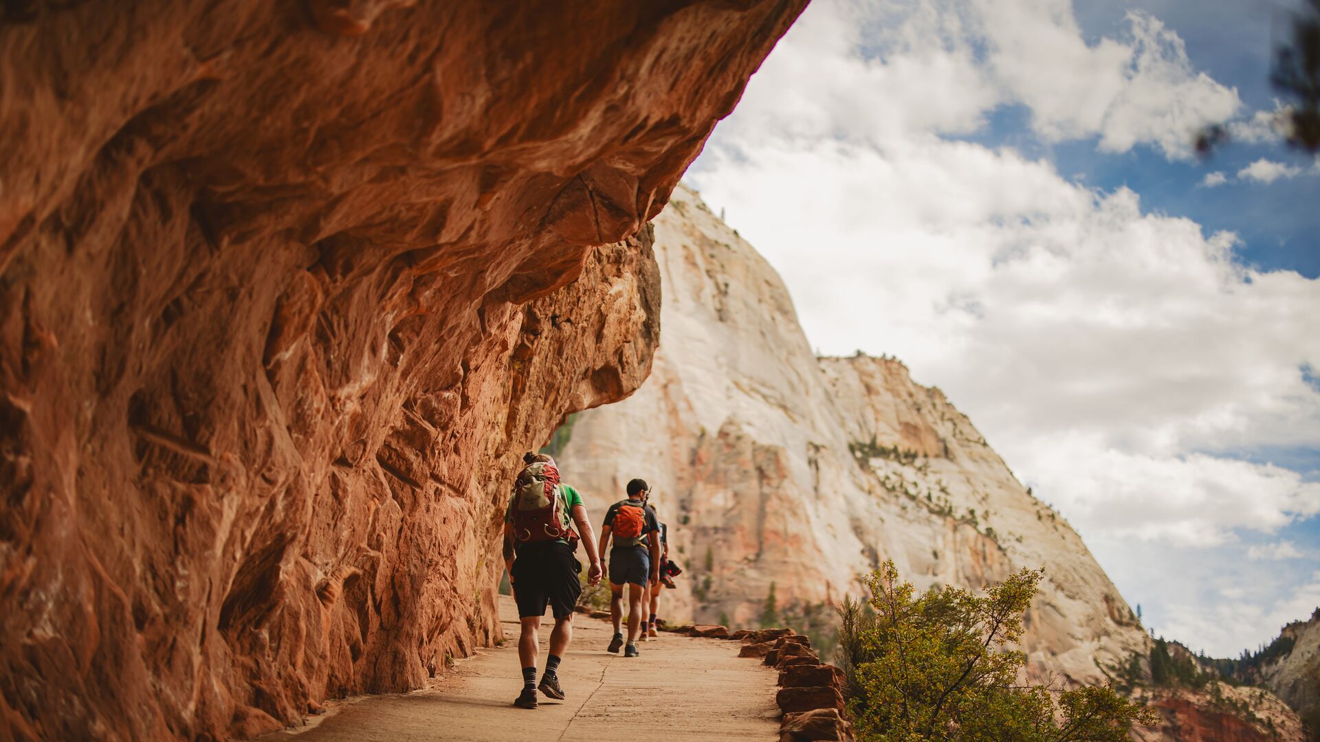 Travellers hiking in Zion National Park under massive sandstone cliffs. 