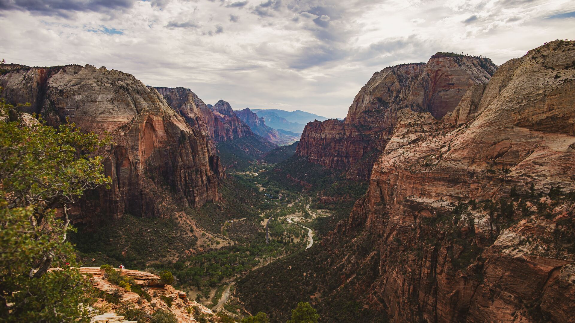 Zion Canyon with a river carved down below massive sandstone cliffs. 