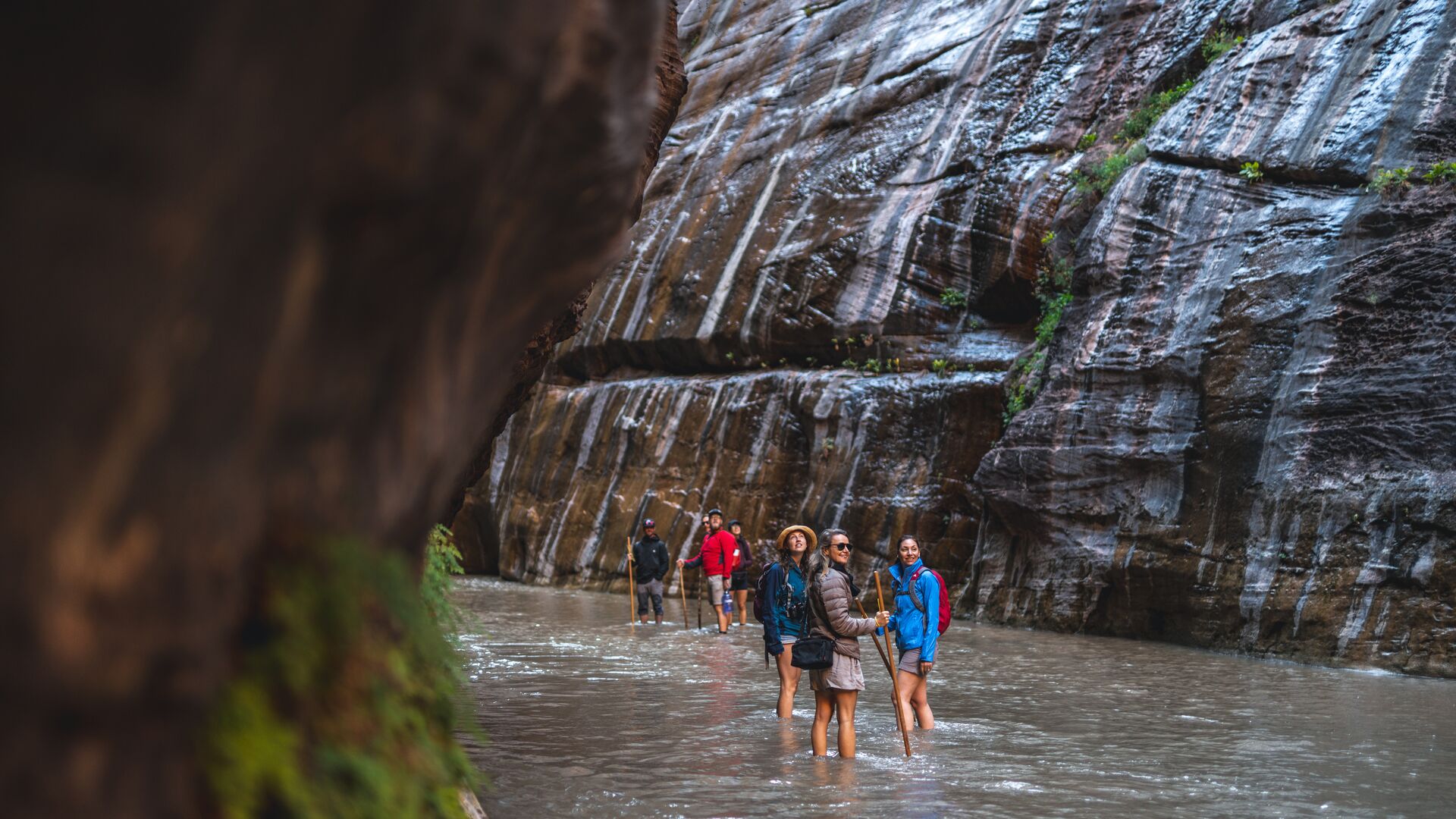 Traveller standing in the water on a hike in Zion in a canyon. 