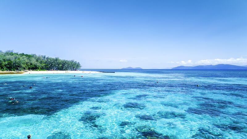 People snorkeling in the Great Barrier Reef, Australia.