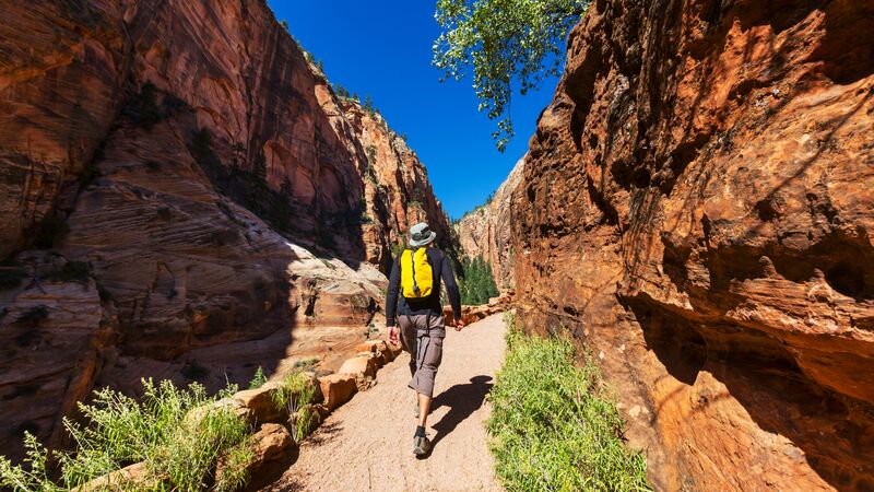 A hiker on a walking trail in Zion National Park