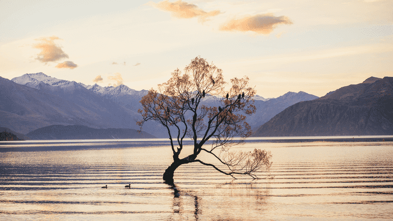 Lake Taupo