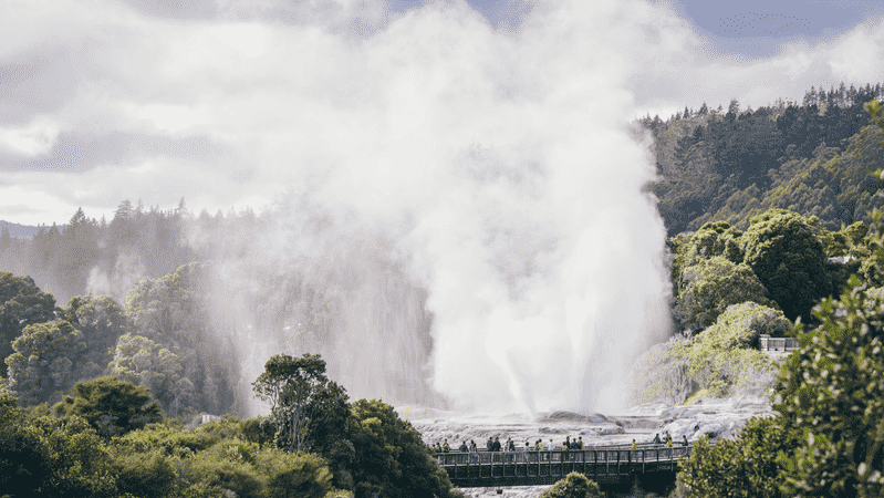 Te Puia geyser