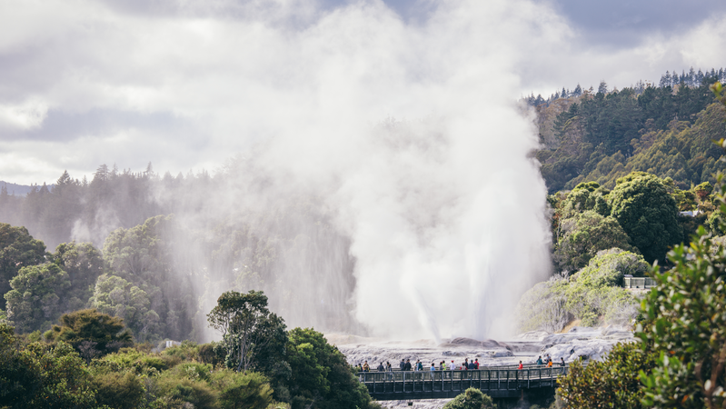 Te Puia in Rotorua
