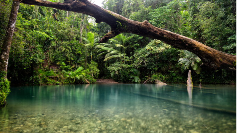 tourist attractions north qld