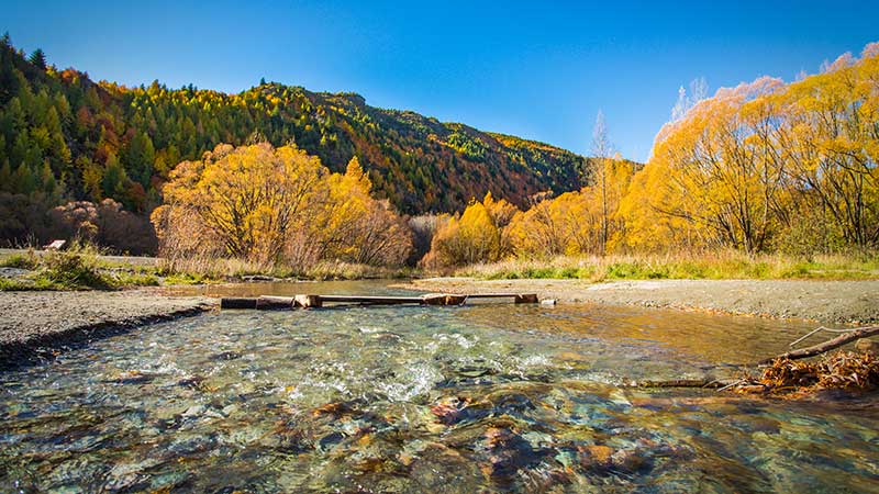 An up close view of the Arrow River in Arrowtown where you can pan for gold.