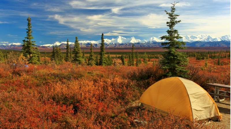 A tent in Denali National Park