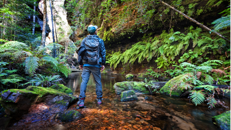 A man trekking through the Grand Canyon Track in the Blue Mountains, New South Wales.