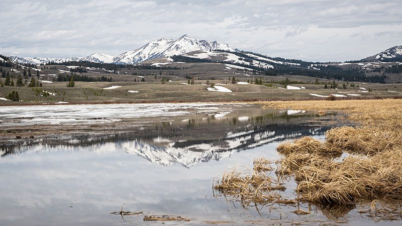 Electric Peak in Yellowstone National Park covered in snow