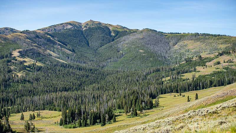 The views on the Mount Washburn Trail in Yellowstone National Park