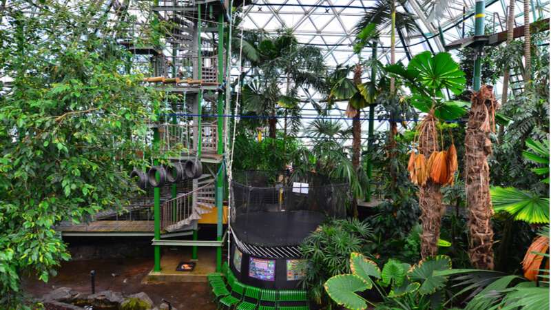 zoom and wildlife dome cairns