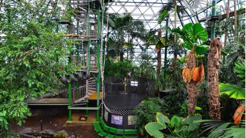 A high ropes course in the Zoom and Wildlife Dome in Cairns.