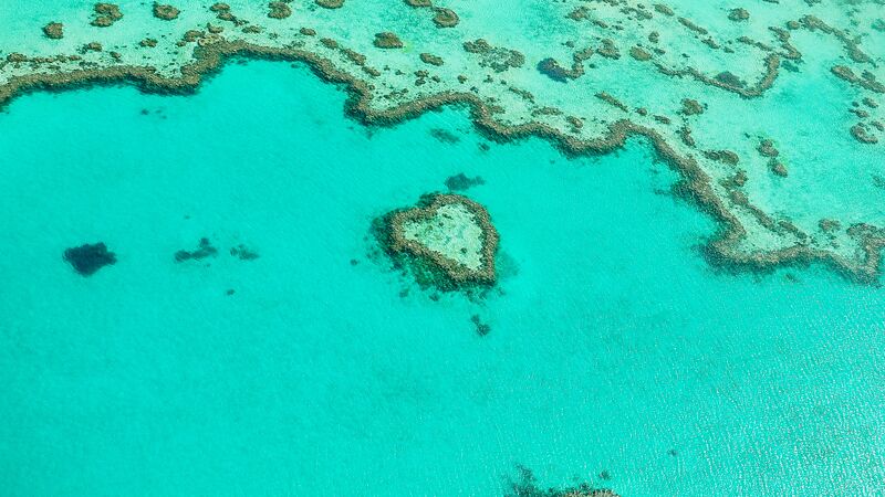 An aerial view of Heart Reef from a scenic flight