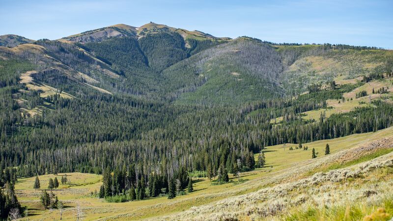 Mt Washburn in Yellowstone National Park
