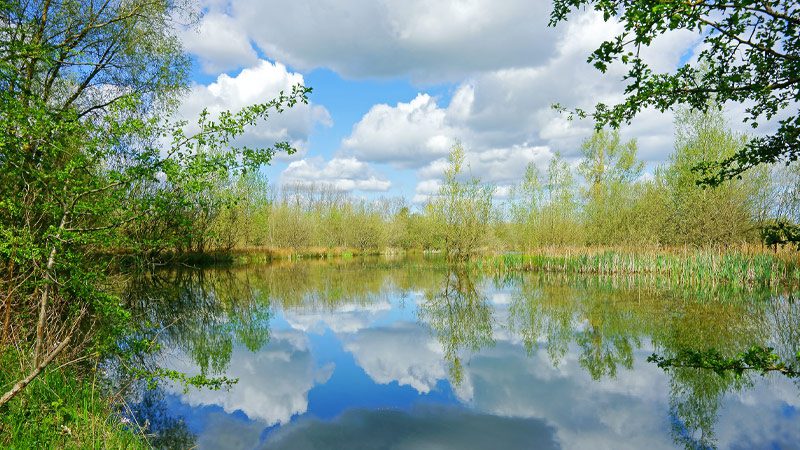 A lake in the Cotswold Water Park in the United Kingdom.