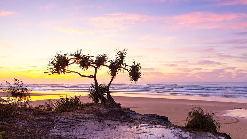 75 Mile Beach on Fraser Island