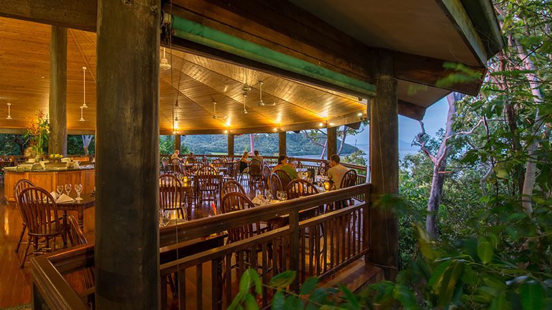 The dining room among the treetops at Osprey's restaurant in Port Douglas.