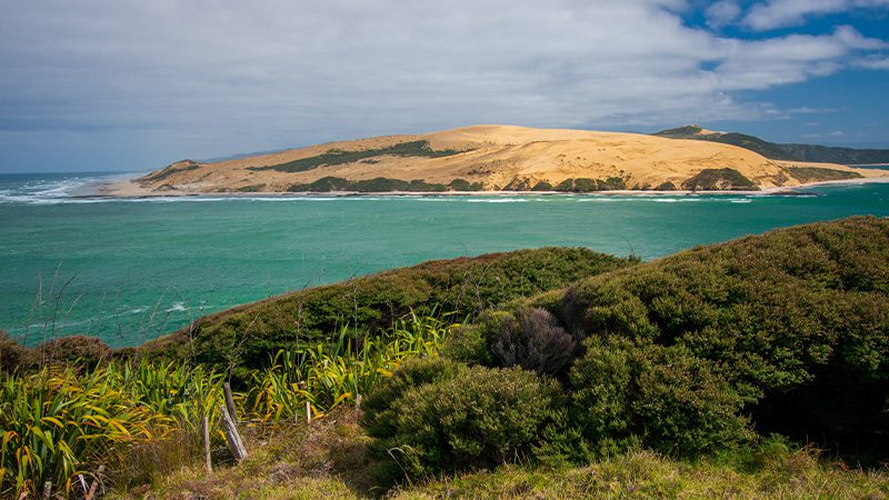 A view of the Opononi sand dunes from a neighbouring island in New Zealand. 