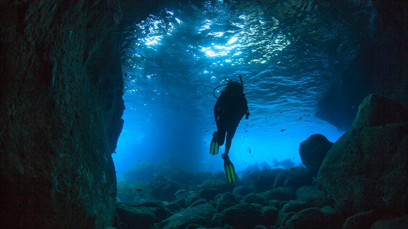 A diver in the waters of the Poor Knights Islands in the Bay of Islands, New Zealand.