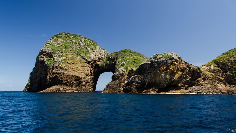 Poor Knights Islands