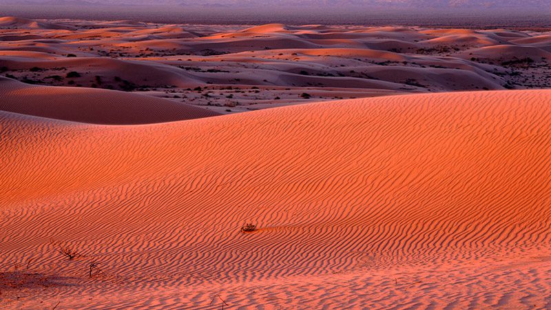 The impressive sand dunes at Algodones Dunes in California at sunset.