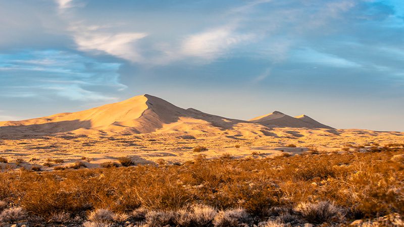 The golden sand dunes at Mojave National Preserve, California. 