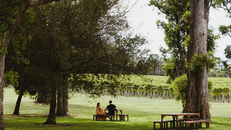 A couple enjoying a glass of wine at Goaty Hill Vineyard in Launceston, Tasmania