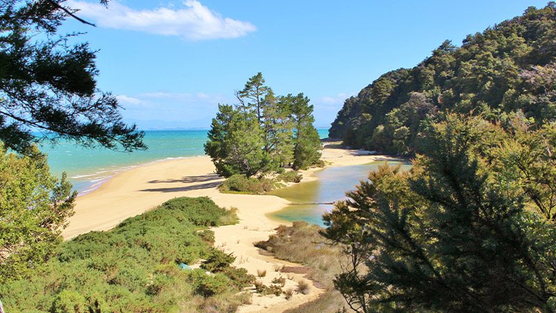 The secluded Apple Tree Bay in Abel Tasman, New Zealand.