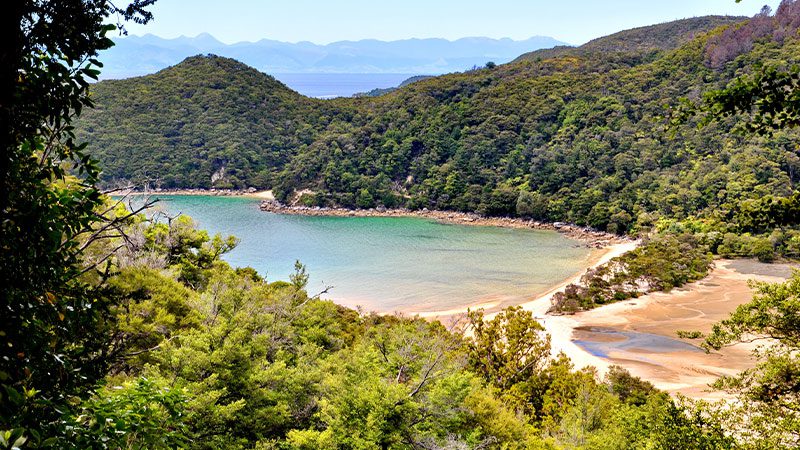 Aerial view of Bark Bay and the forests surrounding it in Abel Tasman, New Zealand. 