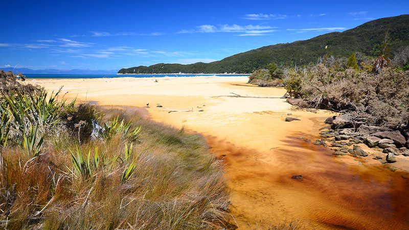 The dazzling sand leading to Onetahuti Beach, Abel Tasman.