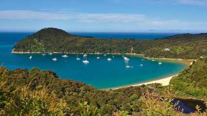 new zealand tours for solo travellers