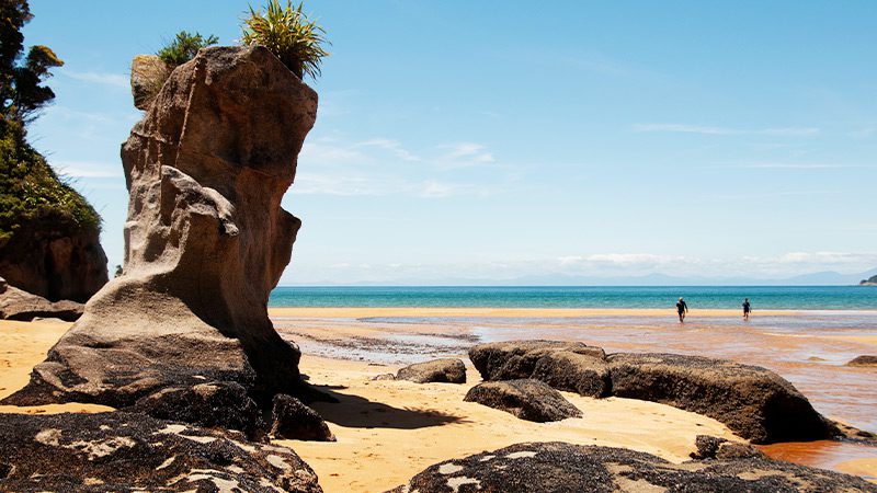 Rock formations at Totaranui Beach in Abel Tasman, New Zealand.