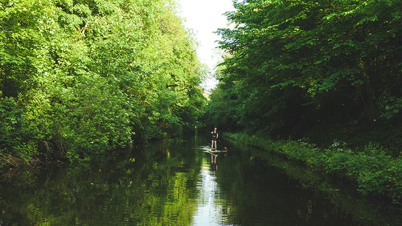 A person stand-up paddle boarding on the River Thames