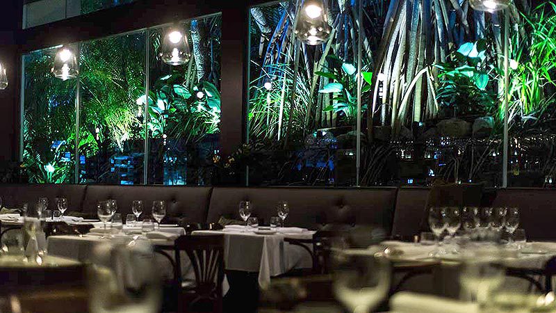 The stunning lush interior of Locale in Noosa.