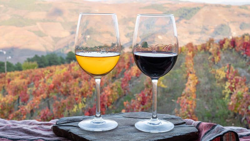 Two glasses of Dudley wine overlooking vineyards 